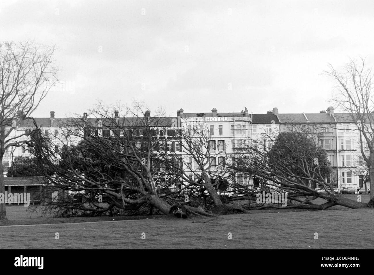 Ligne d'arbres abattus sur le front de mer de Southsea mesdames mile lors de la grande tempête 25 janvier 1990 Banque D'Images