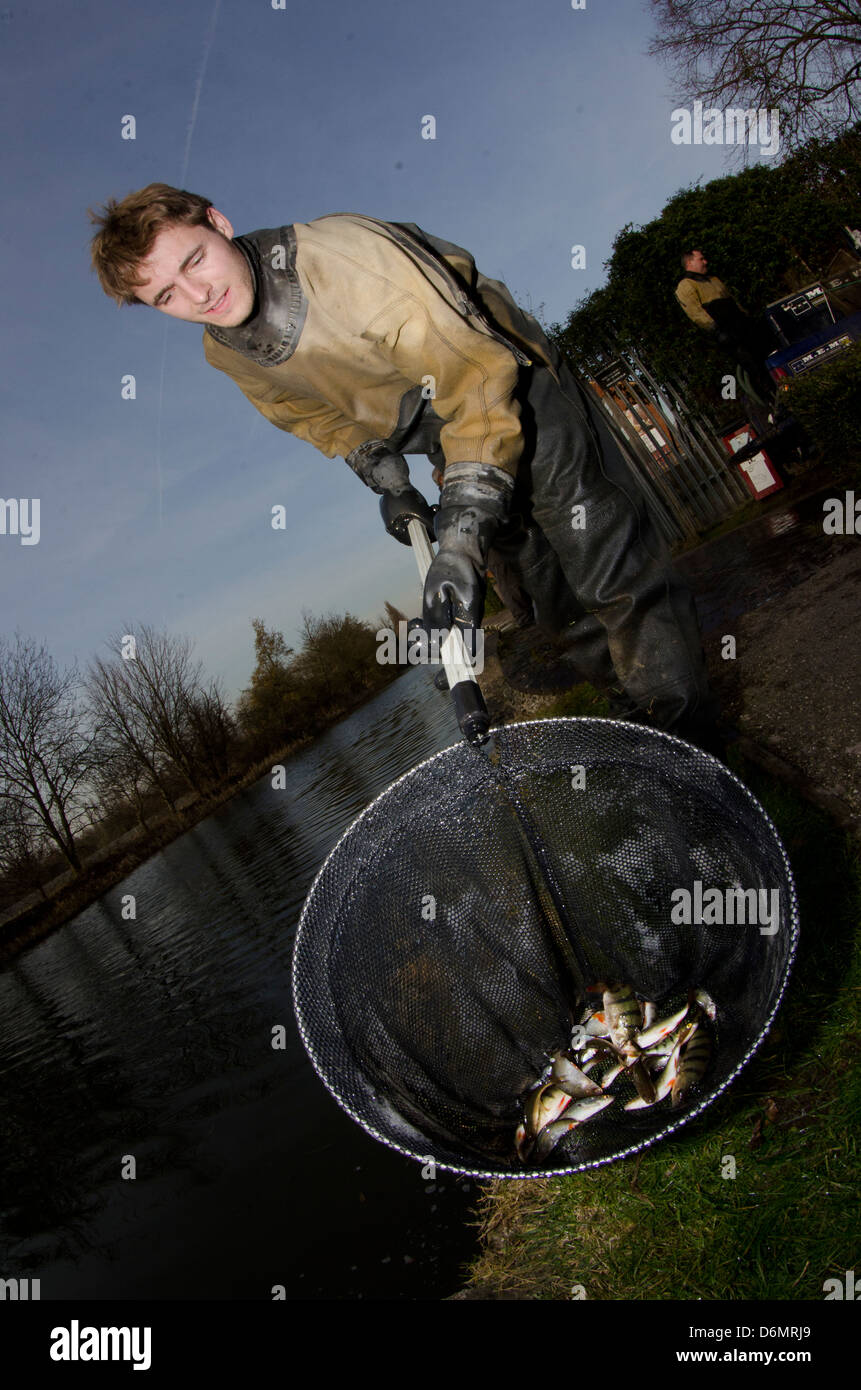 Sauvetage de poissons de l'agence de l'environnement Banque D'Images