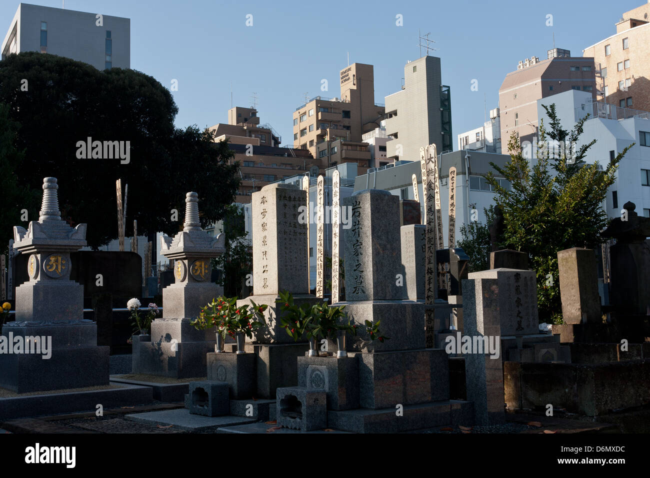 Tombes japonaises dans le cimetière d'Aoyama, Tokyo, Japon Banque D'Images