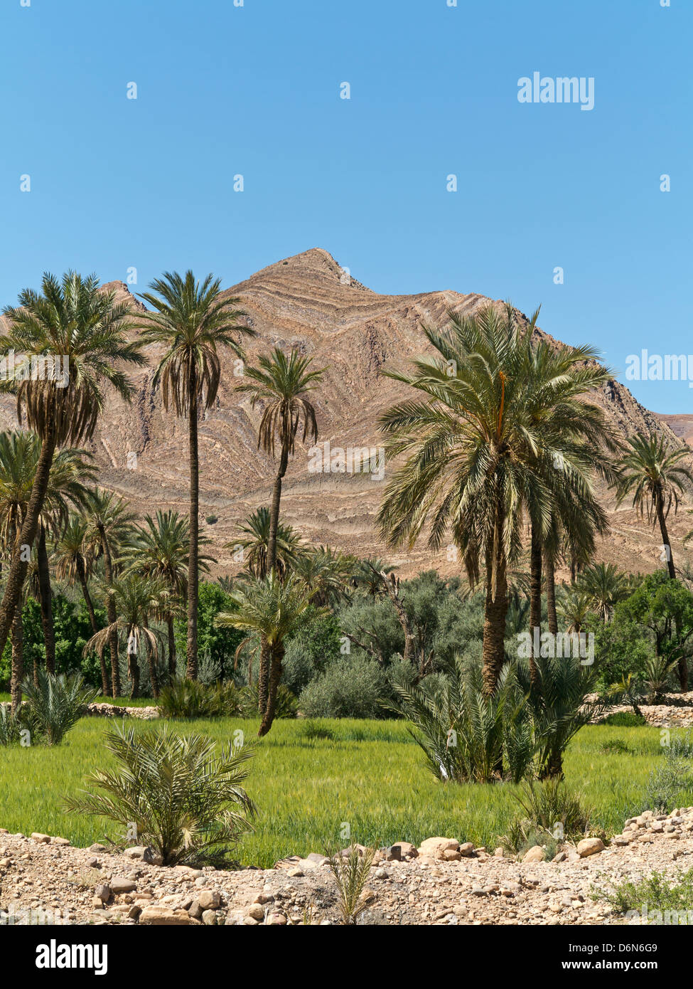 Vue panoramique sur les formations géologiques du Haut Atlas et Anti Atlas Mountains Banque D'Images