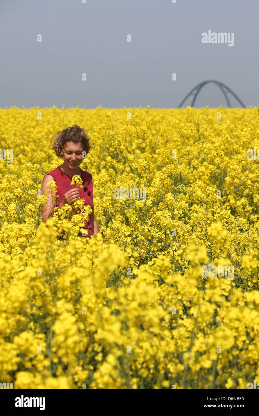 Heiligenhafen, Allemagne, une femme se tient dans un champ de viol devant Fehmarnsundbrücke Banque D'Images