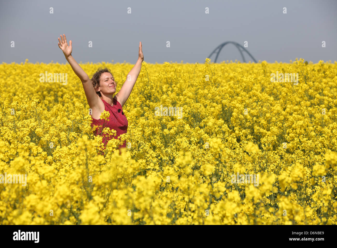 Heiligenhafen, Allemagne, une femme se tient dans un champ de viol devant Fehmarnsundbrücke Banque D'Images