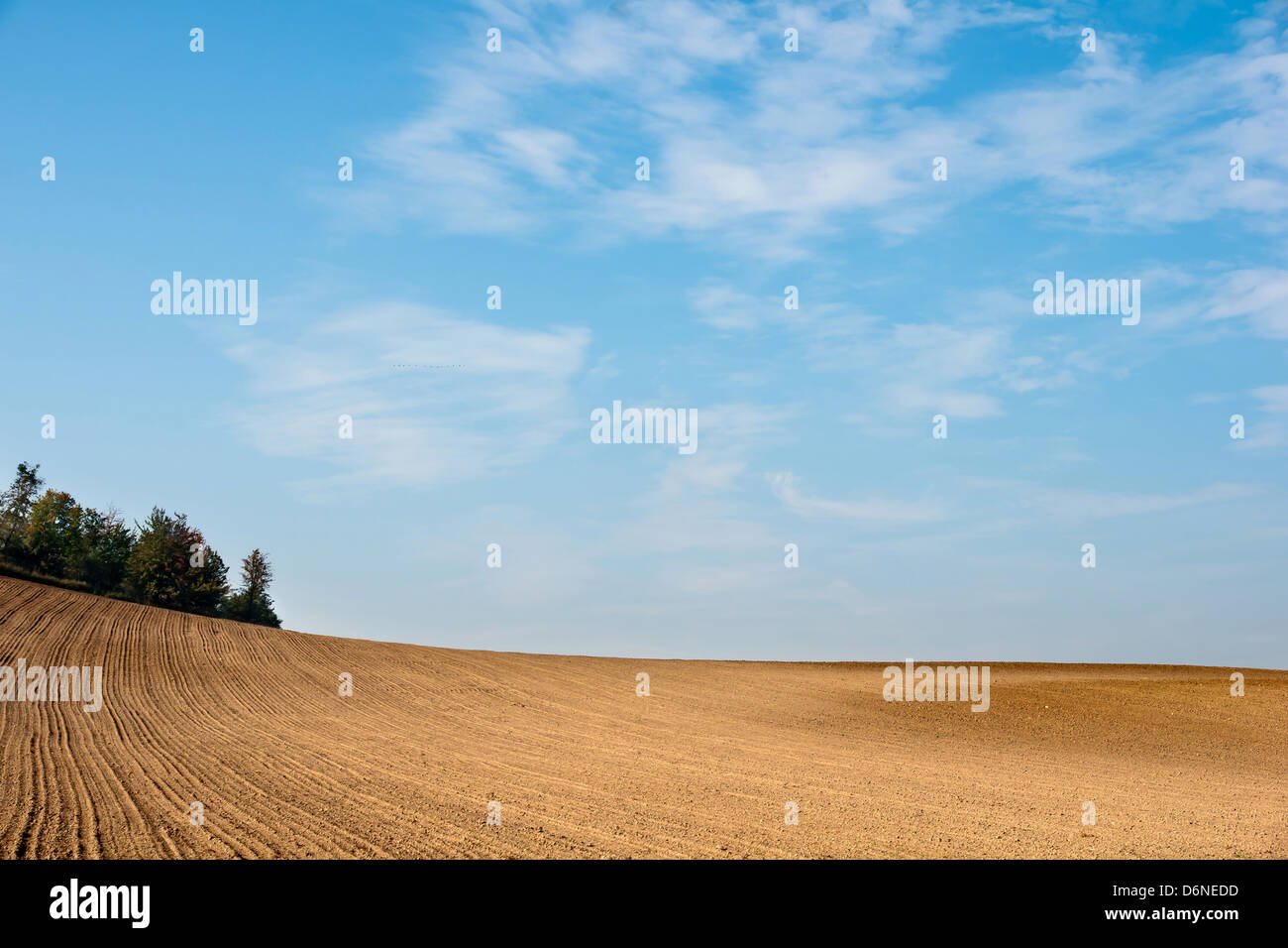 Brodowin, Allemagne, champ moissonné Banque D'Images