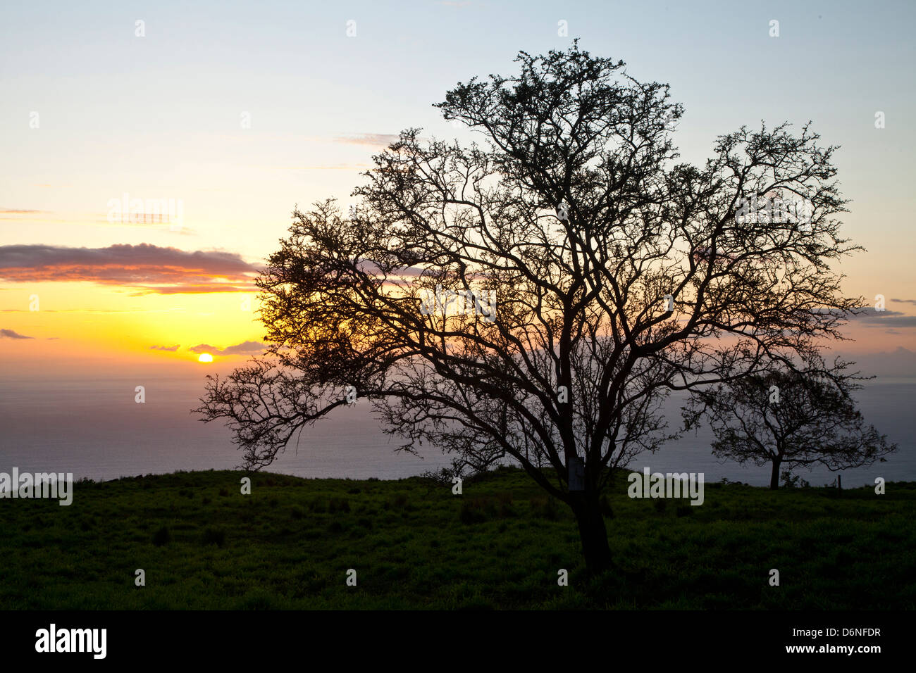 Coucher du soleil vu de la route de Kula surplombant Kaho'Olawe Island et l'océan, Maui, Hawaii Banque D'Images