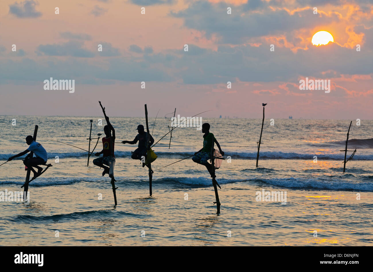 Sri Lanka, Dalawella, de l'Océan Indien, les pêcheurs sur échasses Banque D'Images