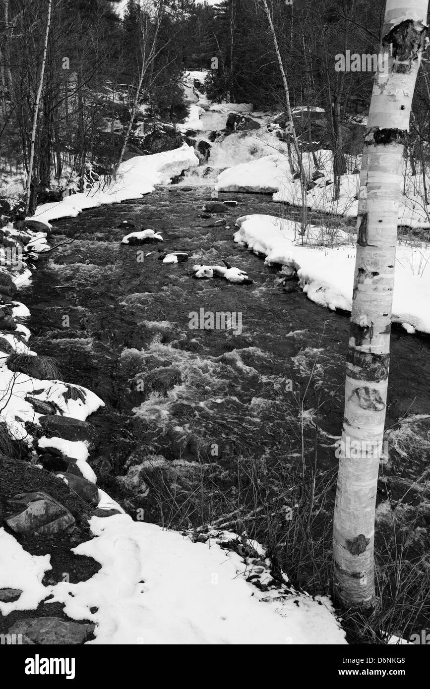 À l'ouest de la rivière et des chutes Duchesnay avec bouleau après une chute de neige de printemps, à North Bay, Ontario Canada Banque D'Images