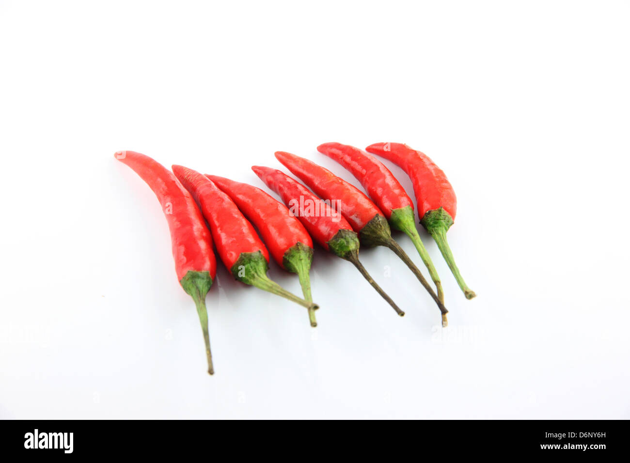 Red Hot Chili Peppers sur le fond blanc. Banque D'Images