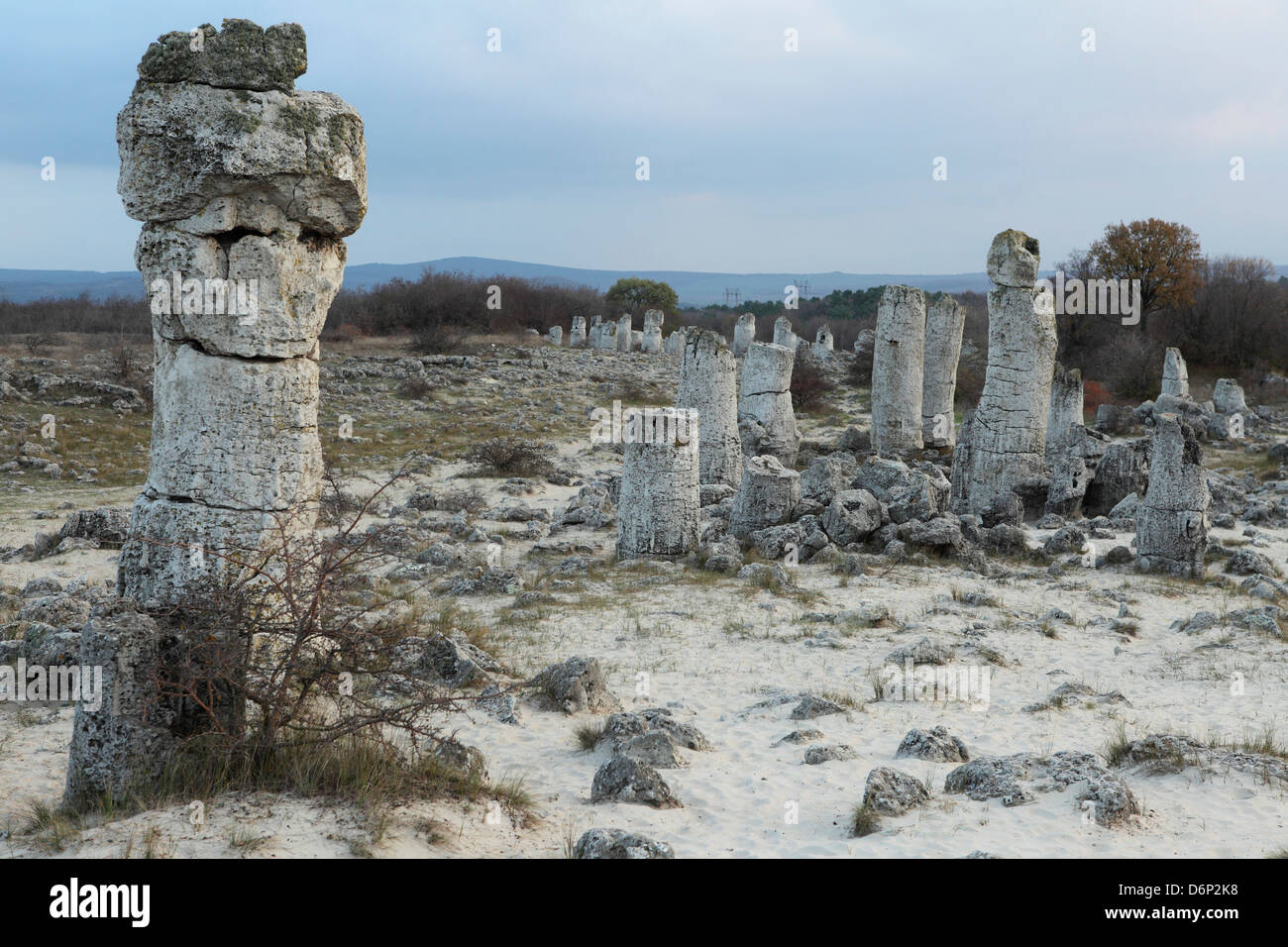 Rock formation à la 50 millions d'ans Pobiti Kamani (forêt de pierre), monument national protégé, à Varna, Bulgarie Province Banque D'Images