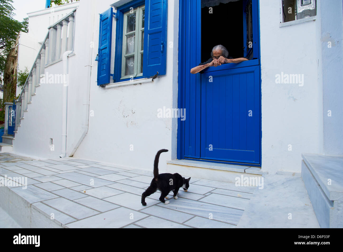 Chat, Pyrgos village, Tinos, Cyclades, îles grecques, Grèce, Europe Banque D'Images
