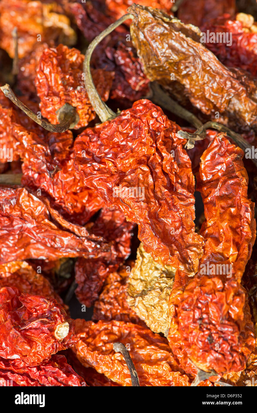 Bhut Jolokia piments séchés (également connu sous le nom de Naga Naga Jolokia, Ghost etc. Voir la description fort pour une liste complète des noms). Banque D'Images