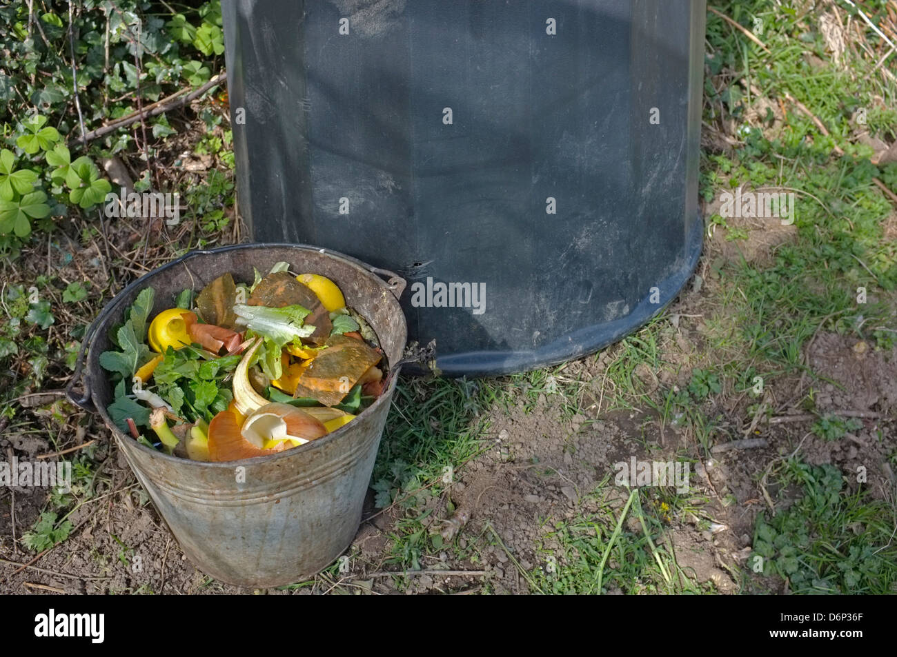 Un seau de compost assis à côté d'un composteur Banque D'Images