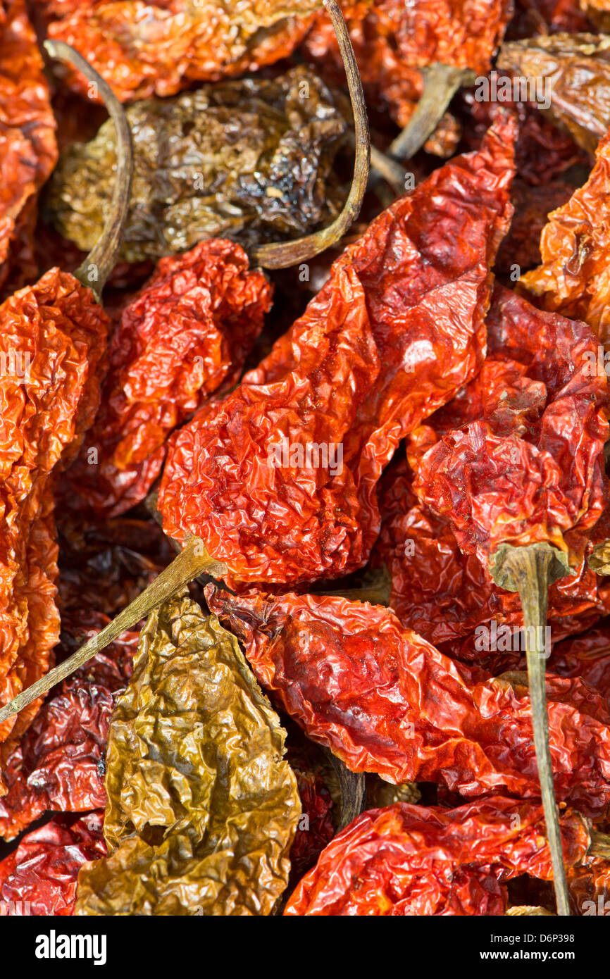 Bhut Jolokia piments séchés (également connu sous le nom de Naga Naga Jolokia, Ghost etc. Voir la description fort pour une liste complète des noms). Banque D'Images