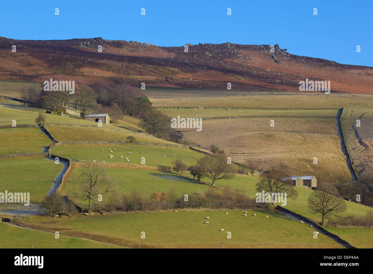 Les bâtiments agricoles et les murs, Derwent Valley, parc national de Peak District, Derbyshire, Angleterre, Royaume-Uni, Europe Banque D'Images