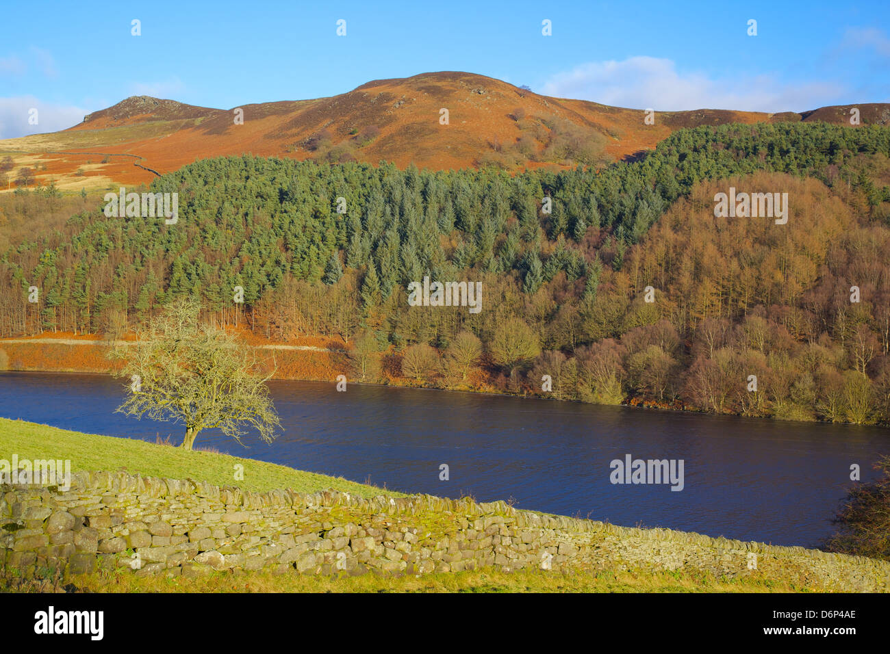 Ladybower Reservoir, Derwent Valley, parc national de Peak District, Derbyshire, Angleterre, Royaume-Uni, Europe Banque D'Images