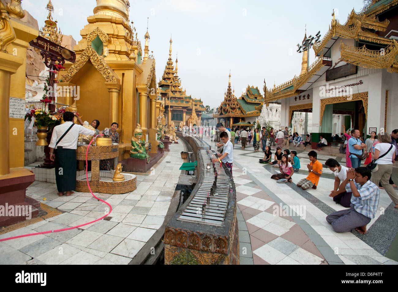 Fidèles à la birmane de la pagode Shwedagon à Yangon Myanmar (Birmanie) Banque D'Images