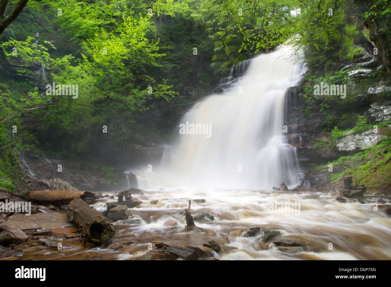 GANOGA TORRENT PRINTEMPS CUISINE CASCADE CREEK RICKETTS GLEN STATE PARK LUZERNE COMTÉ PENNSYLVANIA USA Banque D'Images