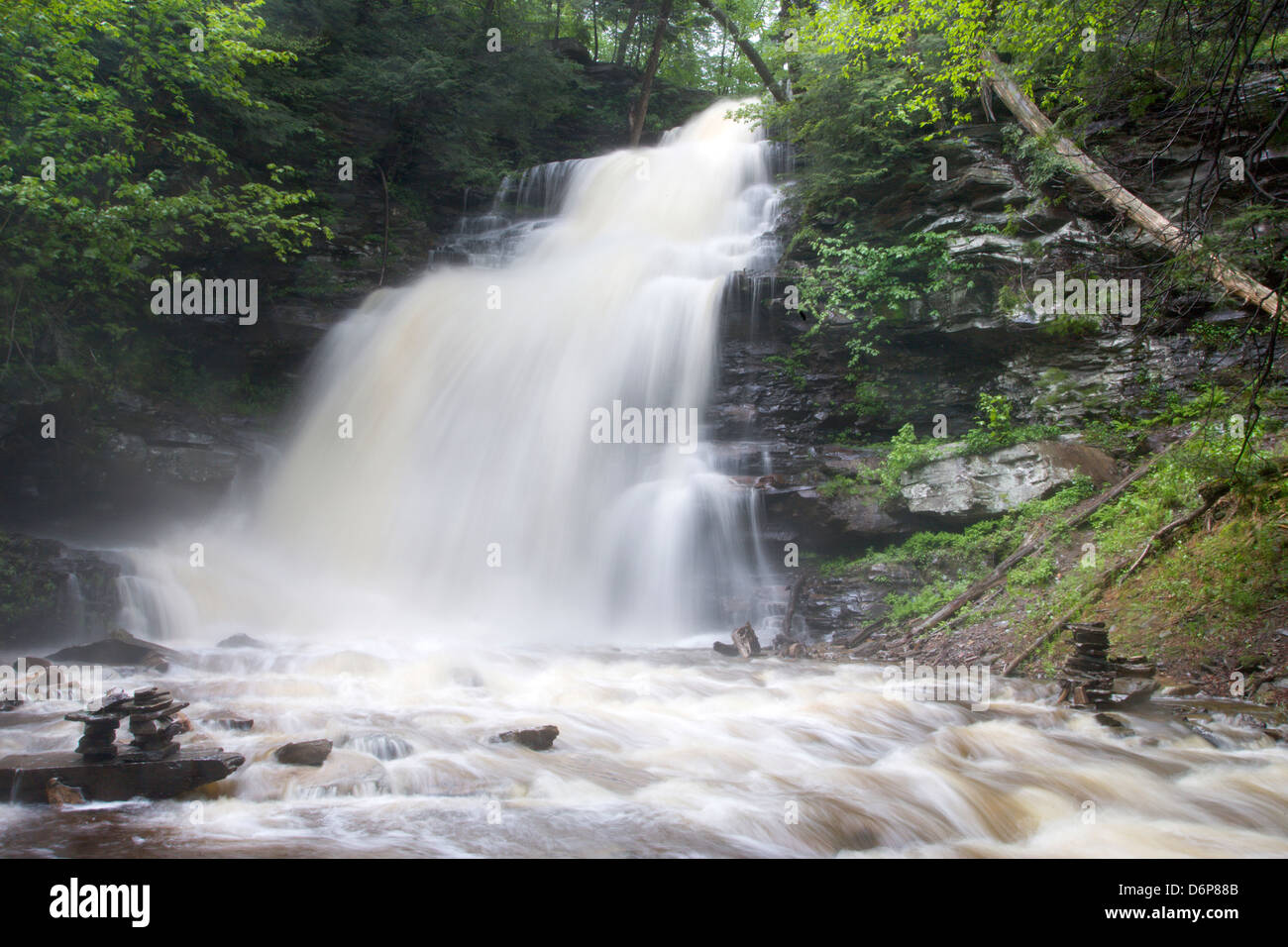 GANOGA TORRENT PRINTEMPS CUISINE CASCADE CREEK RICKETTS GLEN STATE PARK LUZERNE COMTÉ PENNSYLVANIA USA Banque D'Images