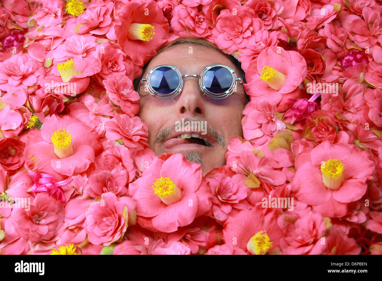 Homme faire un visage sous un lit de fleurs de camélia Banque D'Images