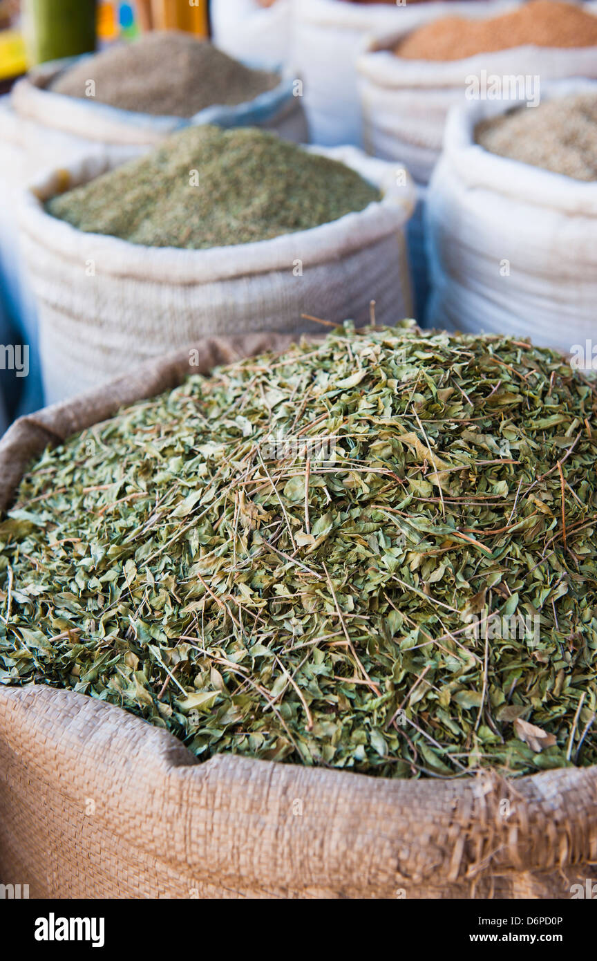 Les feuilles de thé marocain à vendre, Essaouira, ancienne Mogador, UNESCO World Heritage Site, Maroc, Afrique du Nord, Afrique Banque D'Images