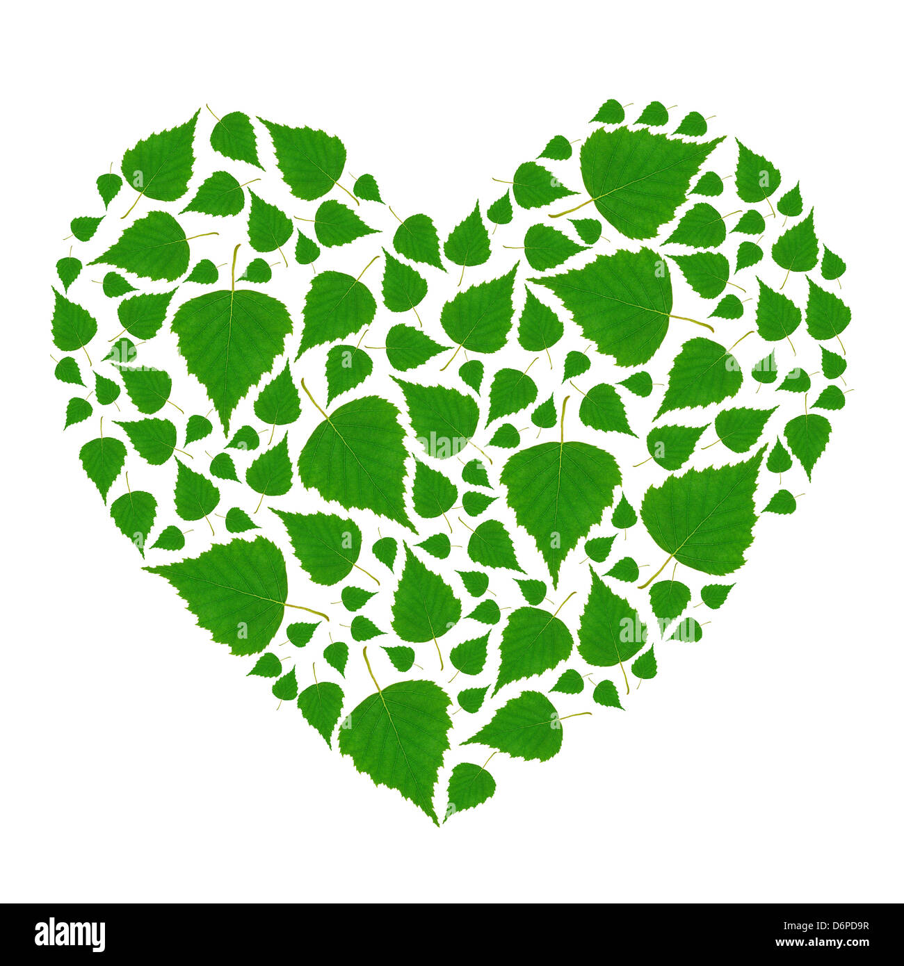 Coeur vert isolé sur fond blanc Banque D'Images