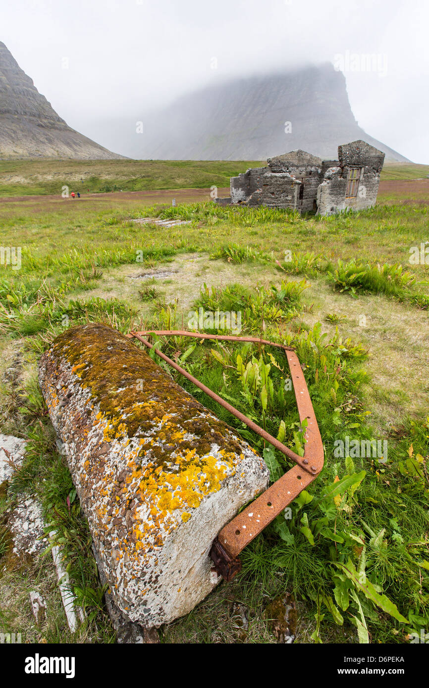 La station de traitement à terre des baleines abandonnées, Talknafjorour, Islande, régions polaires Banque D'Images