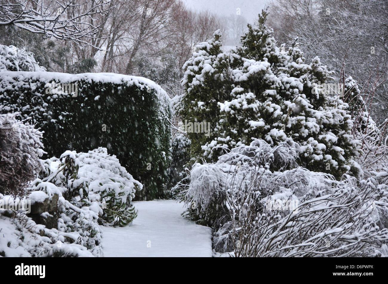 Un jardin couvert de neige Banque D'Images