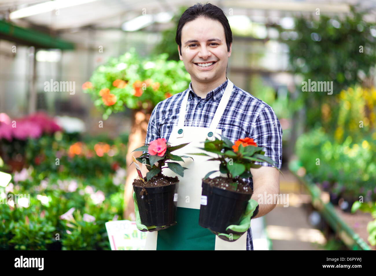 Portrait of a smiling worker holding à effet de pots de fleurs Banque D'Images
