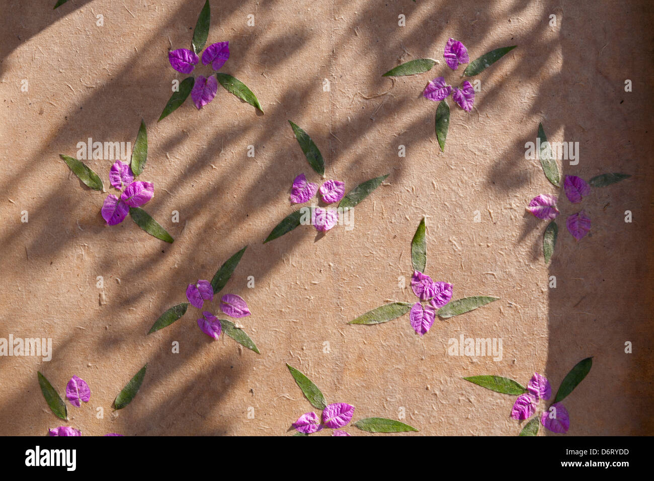 Papier décoratif fait main faite à un atelier de fabrication de papier, Heho, près de Yangon, Myanmar (Birmanie), Banque D'Images
