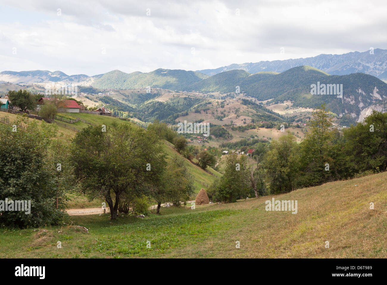 Carpates, Roumanie - Piatra Craiului près de Magura, Bran et Brasov Banque D'Images
