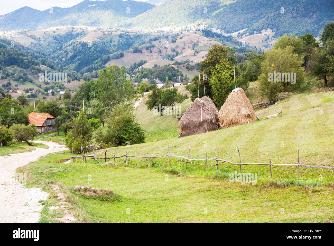 Carpates, Roumanie - Piatra Craiului près de Magura, Bran et Brasov avec meules Banque D'Images