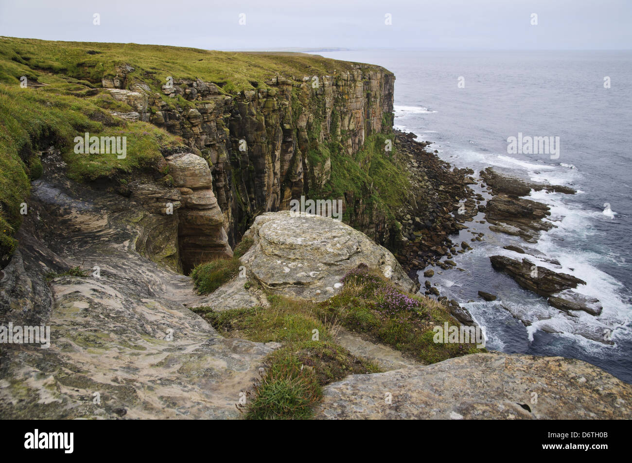 Vue sur les falaises de la mer, point le plus au nord du continent, Dunnet Head, Caithness, Highlands, Ecosse, Août Banque D'Images