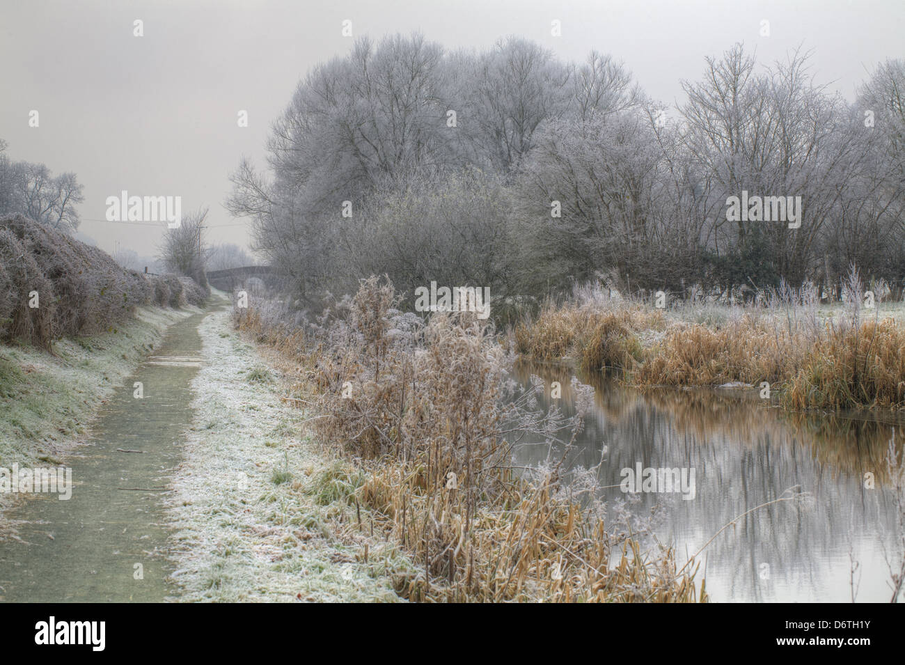 À côté de la partie de chemin canal désaffecté sur jour froid, Canal, près de Montgomery, of Berriew Powys, Pays de Galles, décembre Banque D'Images