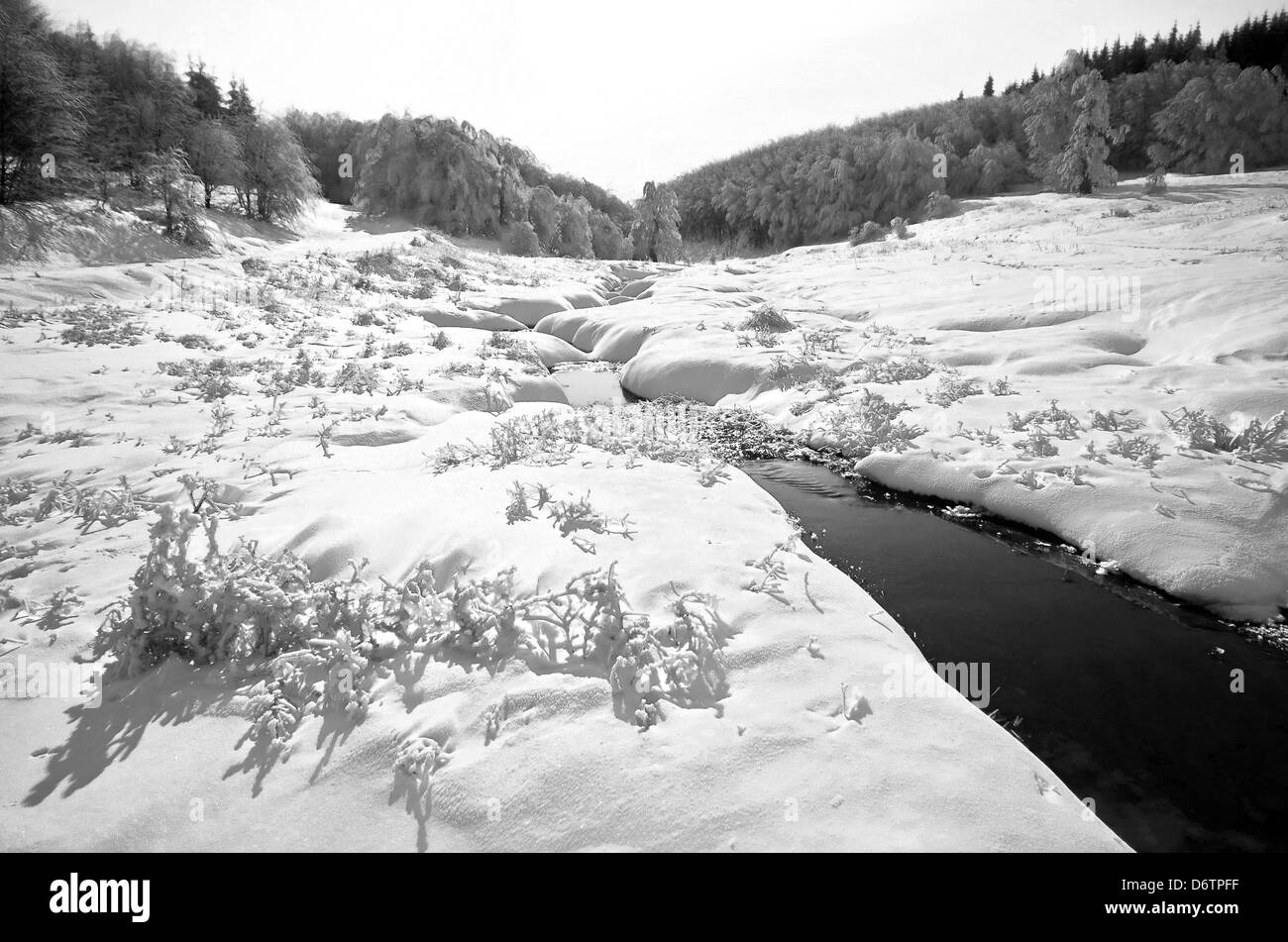 L'hiver dans les montagnes. photo en noir et blanc Banque D'Images