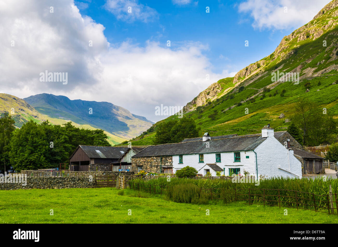 Milieu agricole a chuté au pied de Langdale est tombé près de Chapel Stile dans le Parc National du Lake District, Cumbria, Angleterre. Banque D'Images