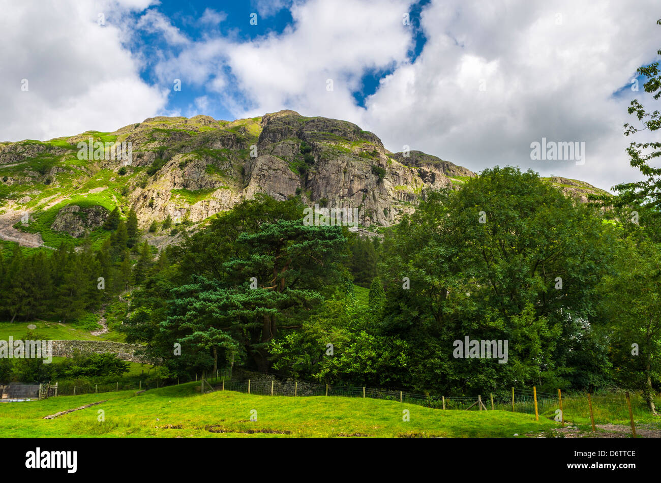 Raven Crag sur Langdale est tombé dans le Parc National du Lake District, Cumbria, Angleterre. Banque D'Images