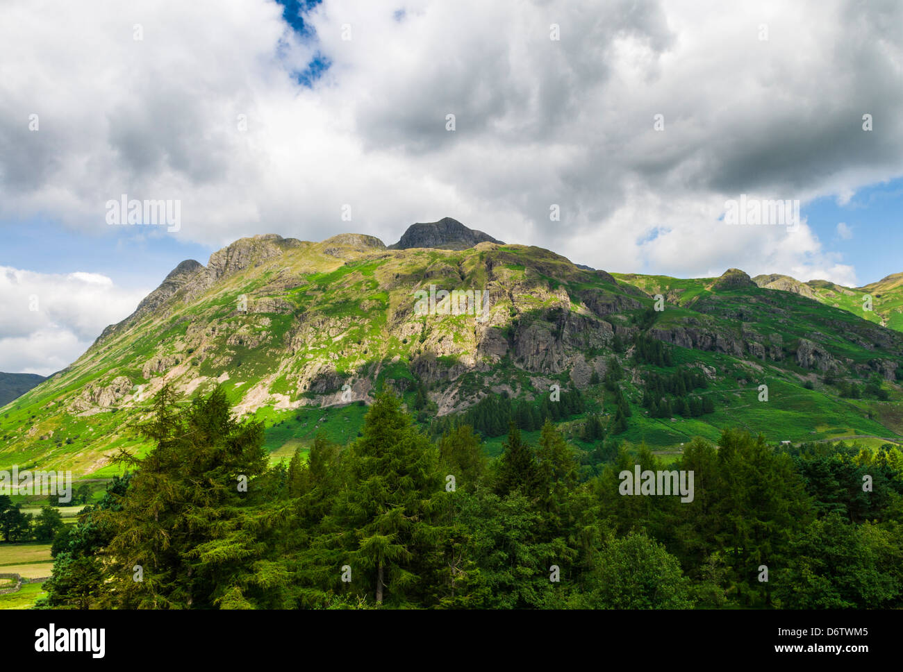 Langdale est tombé dans le Parc National du Lake District, Cumbria, Angleterre. Banque D'Images