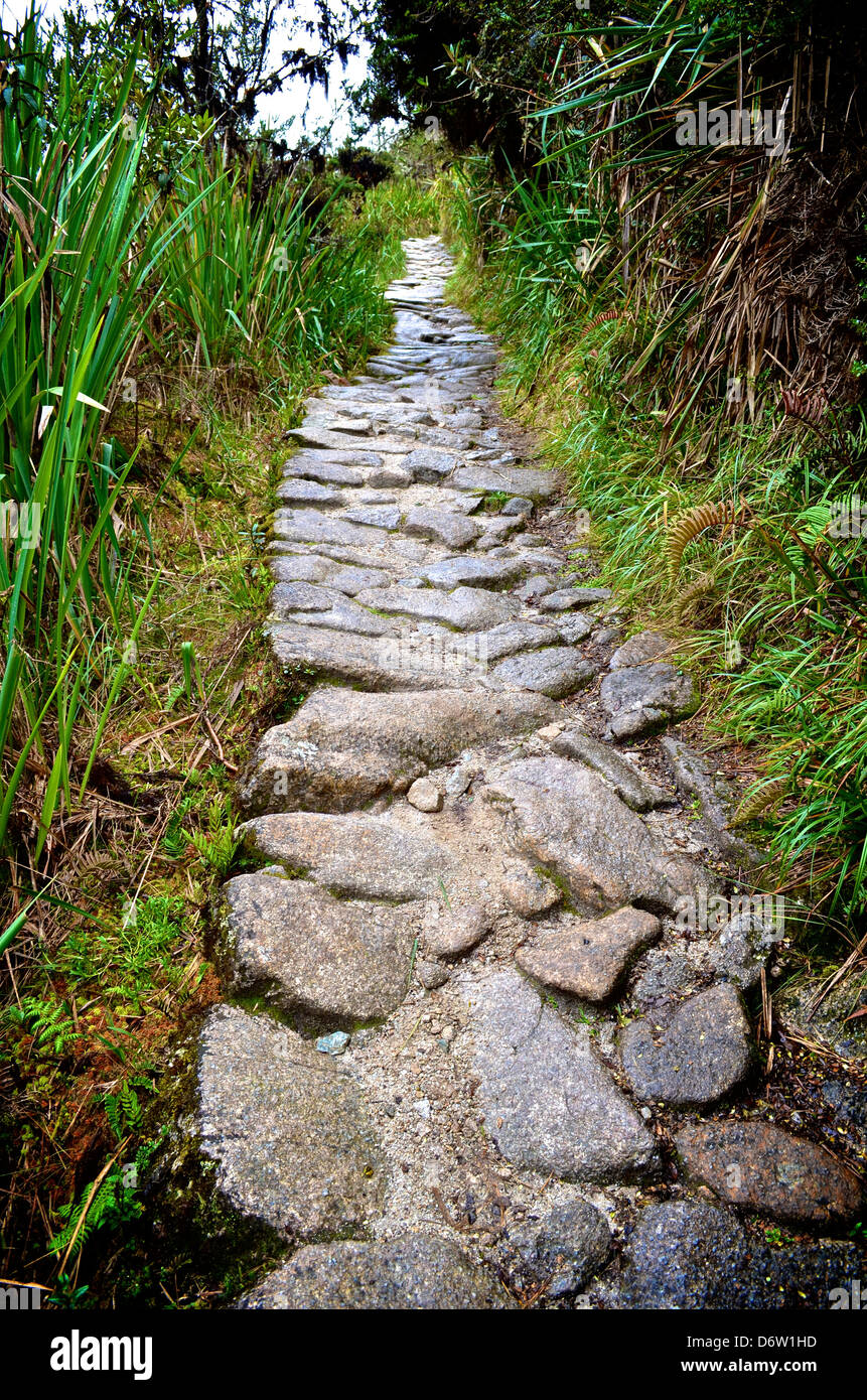 Le chemin de l'Inca à Machu Picchu Banque D'Images