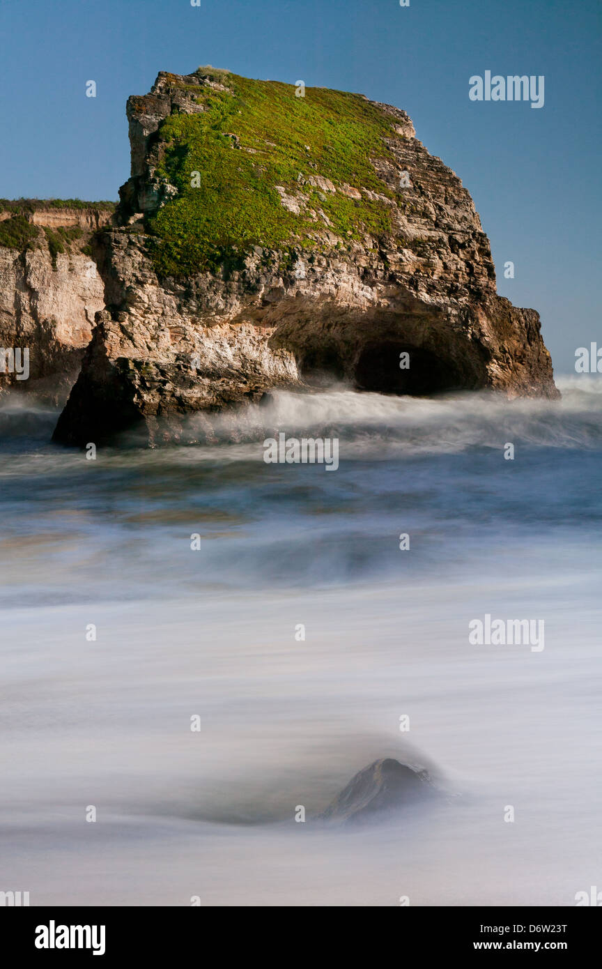 Paysage côtier à Sharktooth crique, juste au nord de Santa Cruz, Californie, États-Unis. Banque D'Images