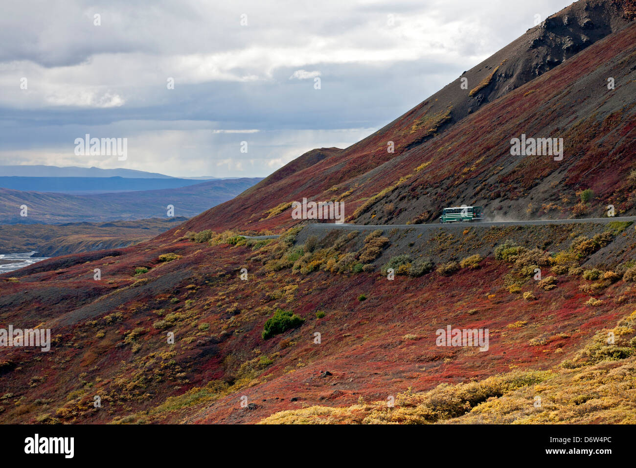 Bus du parc. Denali National Park. De l'Alaska. USA Banque D'Images