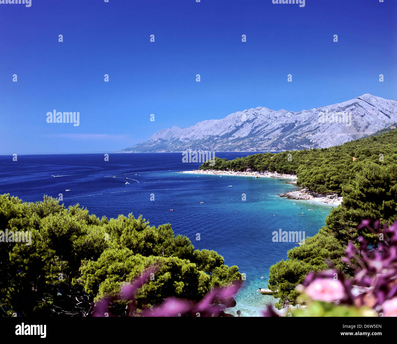 8403. Brela, riviera de Makarska, Croatie, Europe Banque D'Images