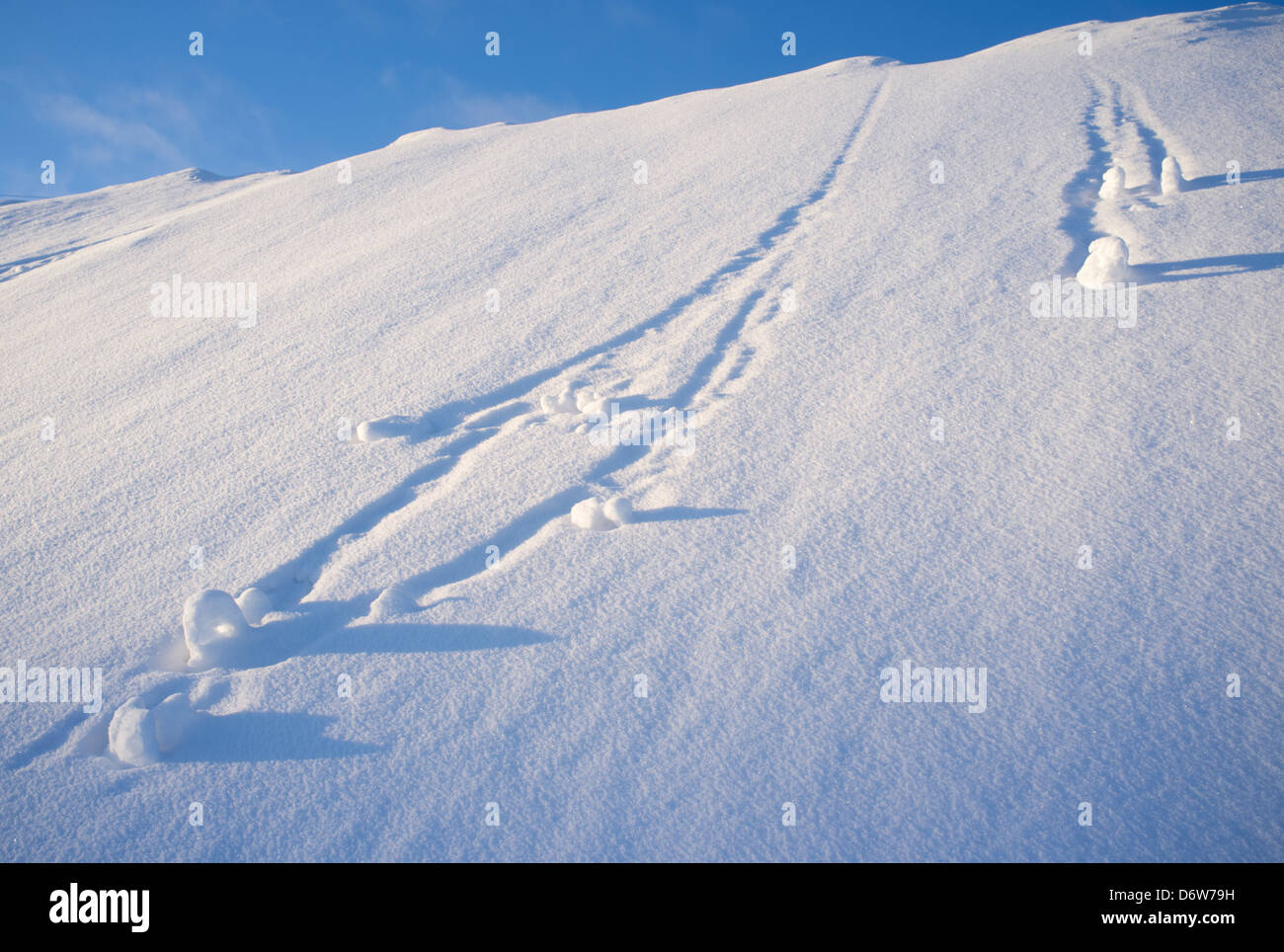 Boules de neige qui descendent de la colline escarpée , Finlande Banque D'Images