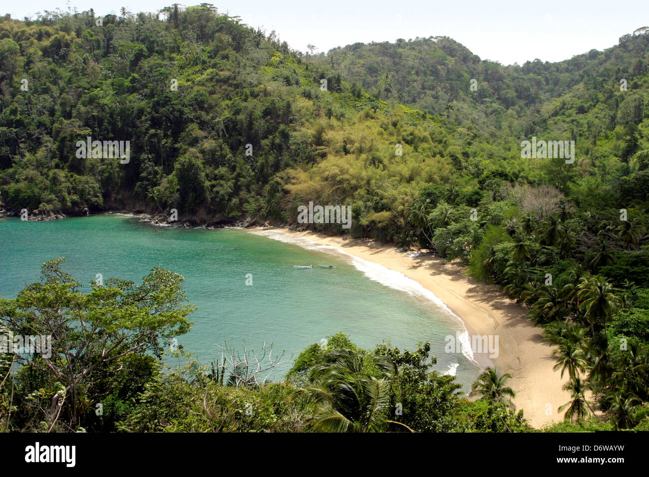 Trinité-et-Tobago, Tobago, Castara Bay Banque D'Images