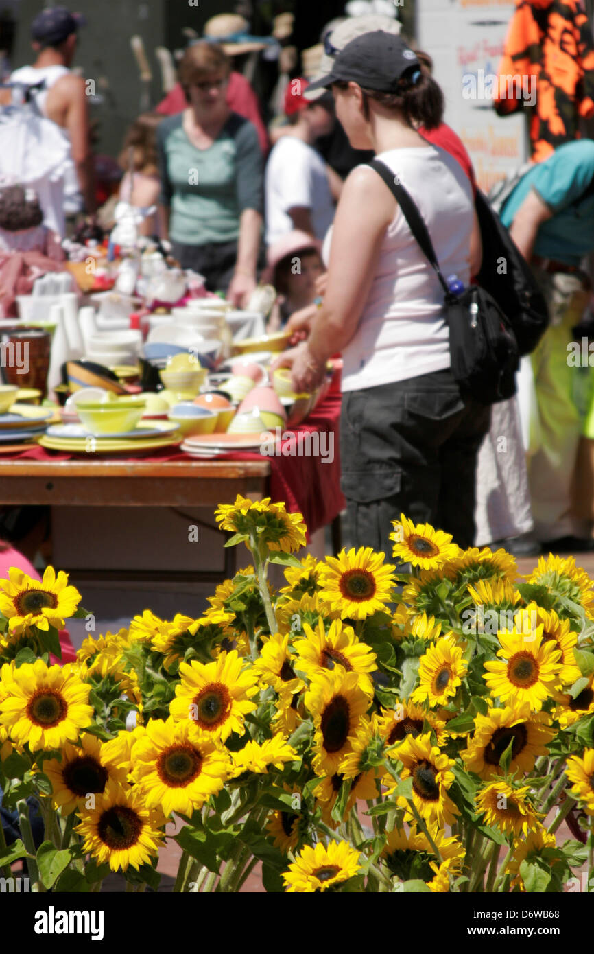 La NOUVELLE ZELANDE, Nelson,Marché hebdomadaire Banque D'Images