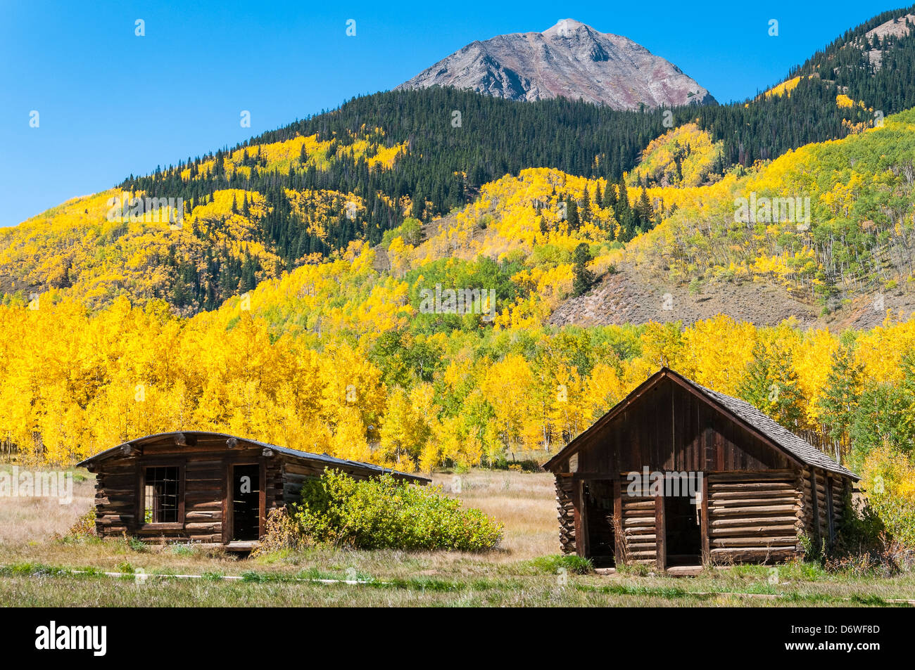 Bâtiments entourés de feuillage de l'automne, Ashcroft Ghost Town, Pitkin County près de Aspen, Colorado. Banque D'Images