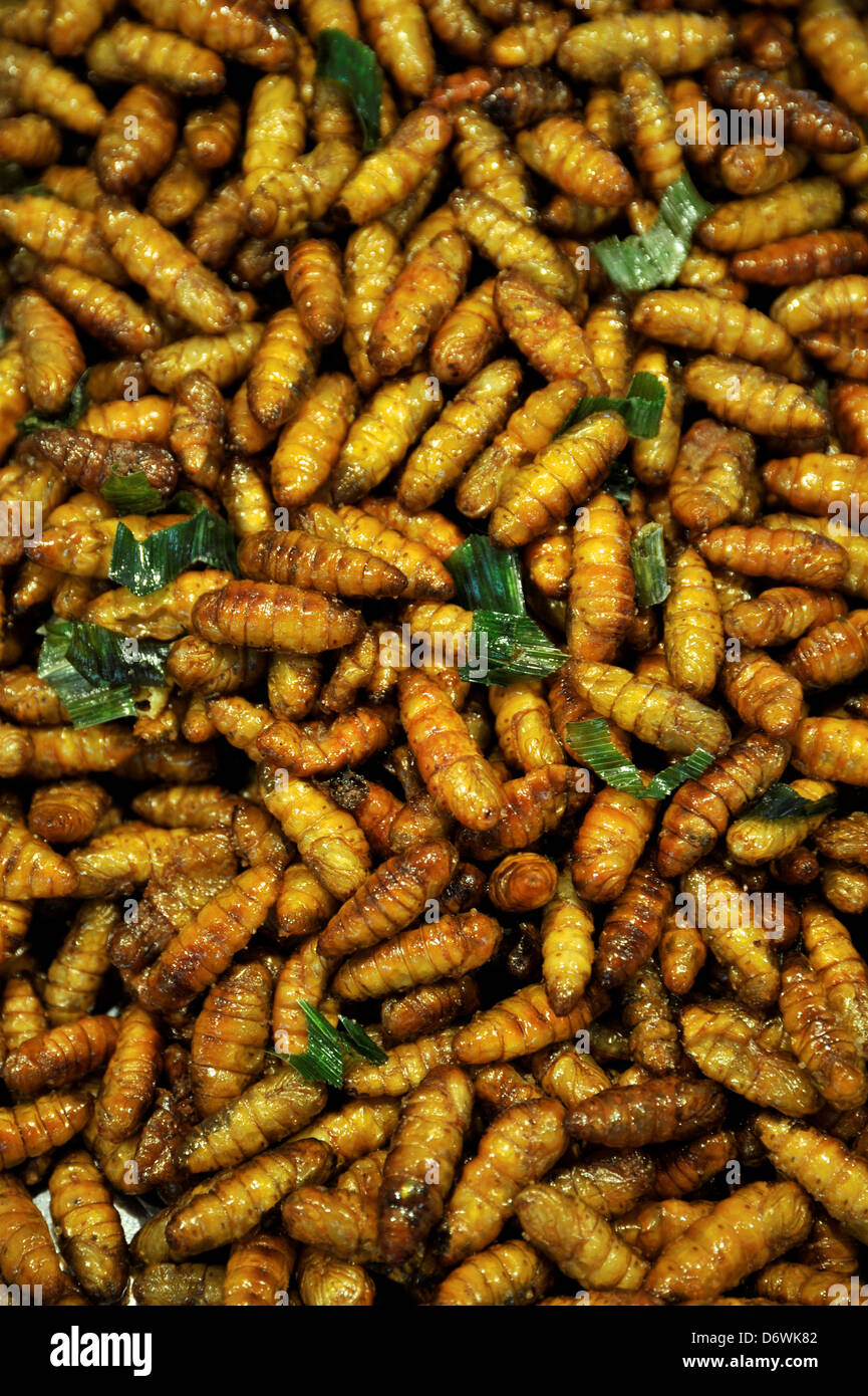 Thaïlande, Bangkok, Thai snack frites de pupes de Caterpillar en soie (Dak Dae) Banque D'Images