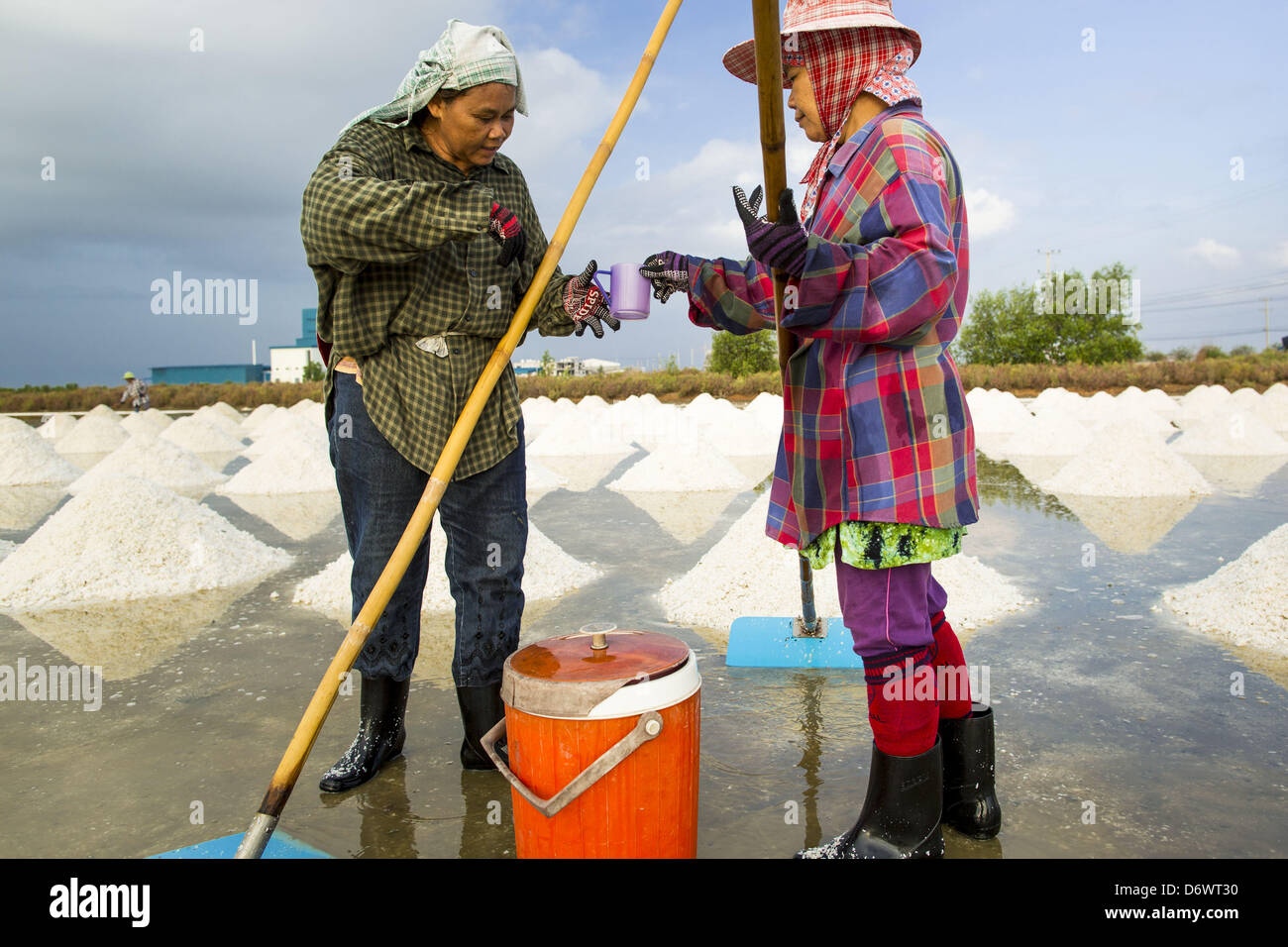 24 avril 2013 - Samut Songkhram, Samut Songkhram, Thaïlande - travailleurs migrants sel partager un verre d'eau tout en empilant le sel dans un champ de Samut Songkhram, Thaïlande. La récolte du sel 2013 en Thaïlande et au Cambodge a été touchée par de fortes pluies pour la saison. Normalement, les champs de sel sont préparées en décembre, janvier et février, quand elles sont rasées et inondé de l'eau de mer. Le sel est récolté dans les champs de la fin février à mai, quand l'eau s'évapore laissant derrière de sel. Cette année, les pluies de décembre et janvier, l'accès limité aux champs et encore de la pluie en mars un Banque D'Images