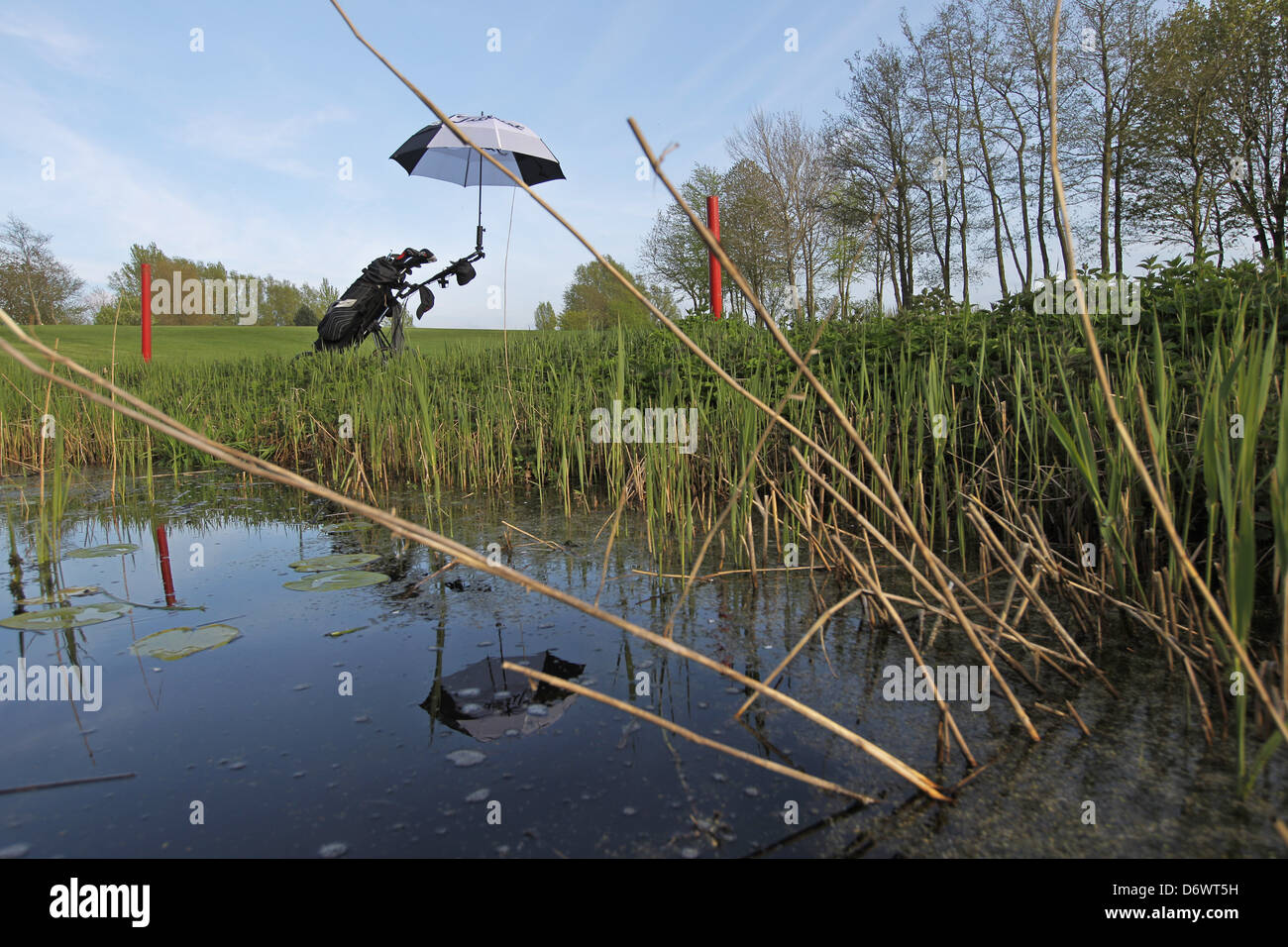 Quern, Allemagne, un étang sur le terrain d'un terrain de golf Banque D'Images