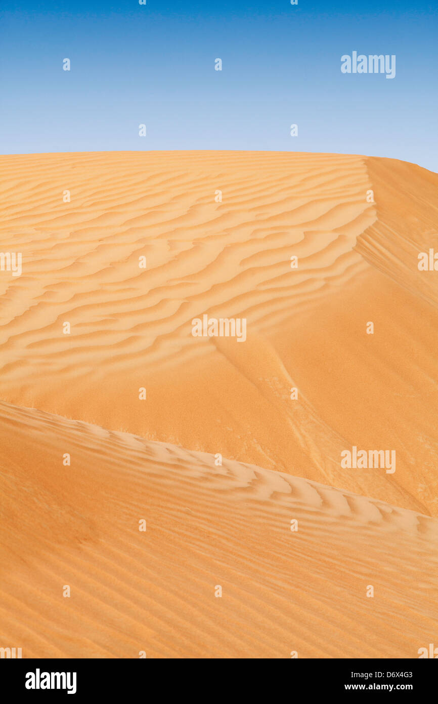 Beau paysage de dunes de sable en Émirats Arabes Unis Banque D'Images