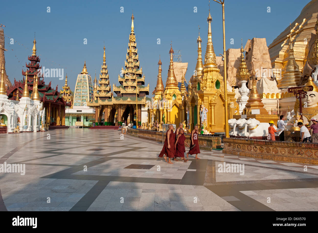 Les moines bouddhistes se promener autour de la pagode Shwedagon à Yangon Myanmar (Birmanie) Banque D'Images