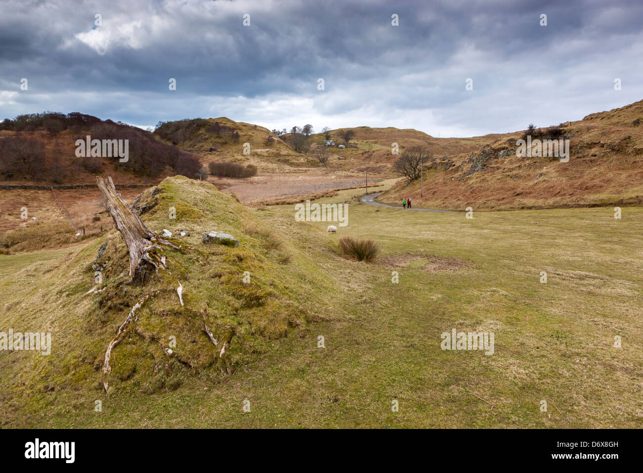 L'île de Kerrera, Argyll and Bute, Ecosse, Royaume-Uni, l'Europe. Banque D'Images